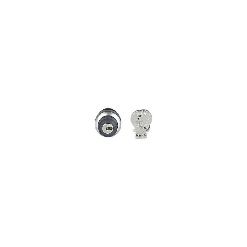 PILZ PIT gb key button (New)