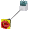 [3LD2113-0TK53] SIEMENS/EP SENTRON, interruptor-seccionador 3LD, Pulsador de  (New)